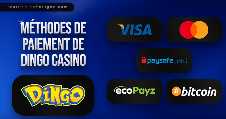 service bancaire de dingo casino