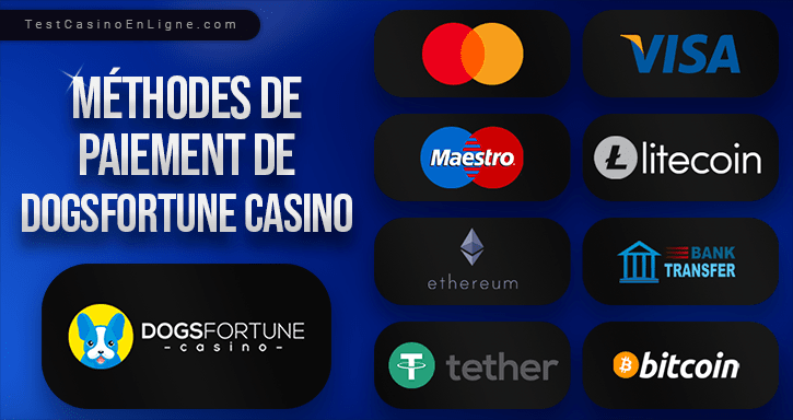 service bancaire de dogfortune casino