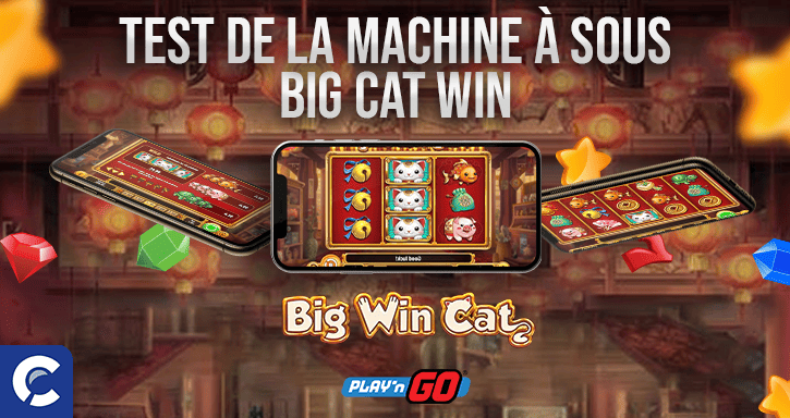 test de la machines à sous big cat win