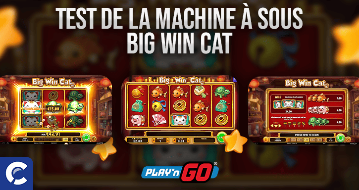 test du jeu big win cat