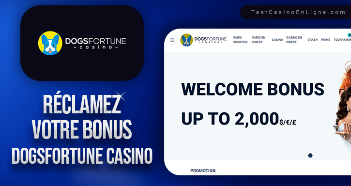 bonus de dogs fortune casino