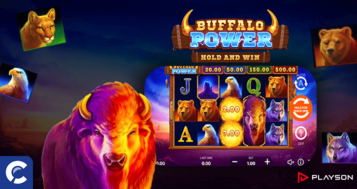 buffalo power hold win