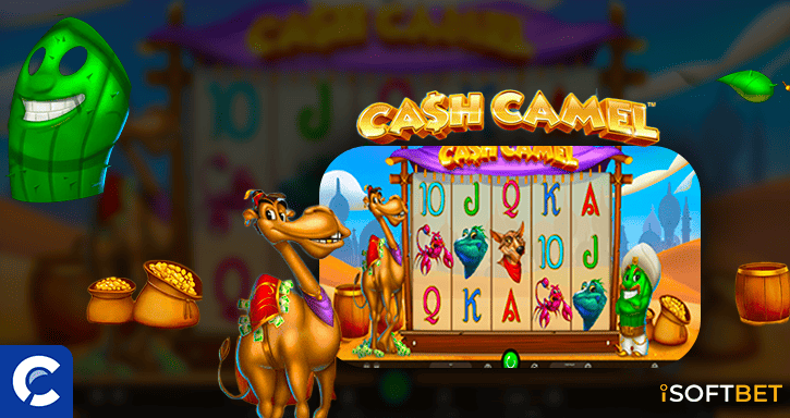 cash camel