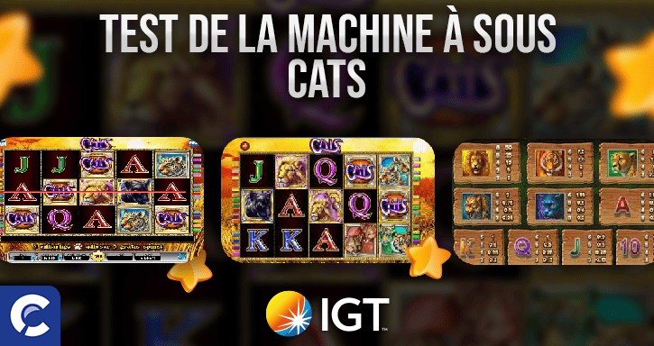 machines à sous cats