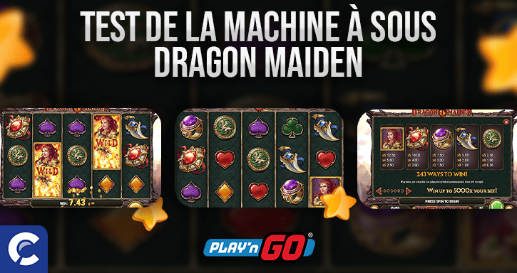 test du jeu dragon maiden