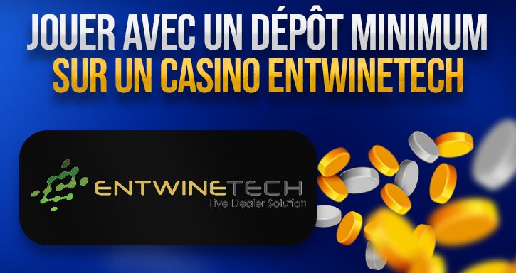 bonus sur les jeux d'entwinetech