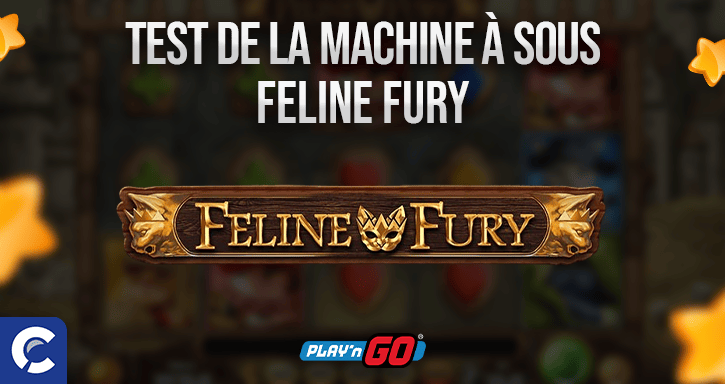 test du jeu feline fury