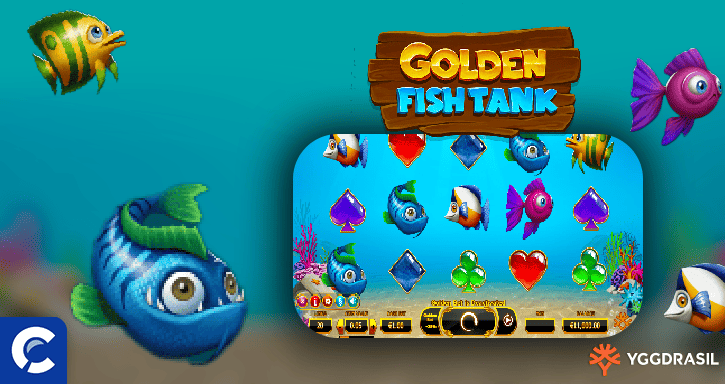 golden fish tank 2
