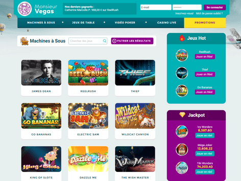 Monsieur Vegas Software Screenshot