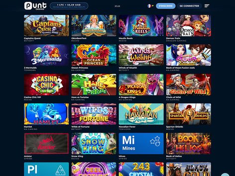 Punt Casino Software Screenshot