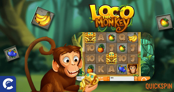 loco the monkey