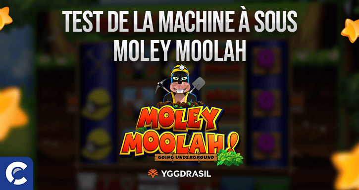 moley moolah main