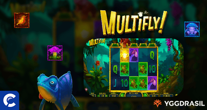 multifly 2