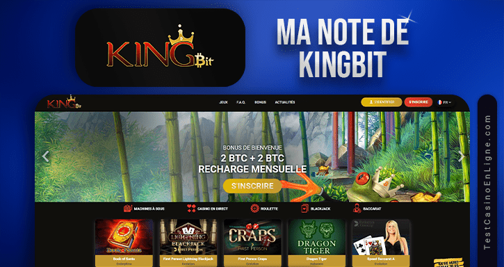 Apercu du casino King bit