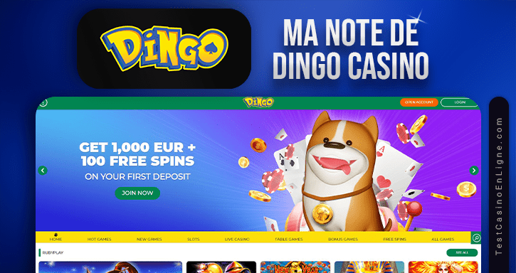 Casino Dingo