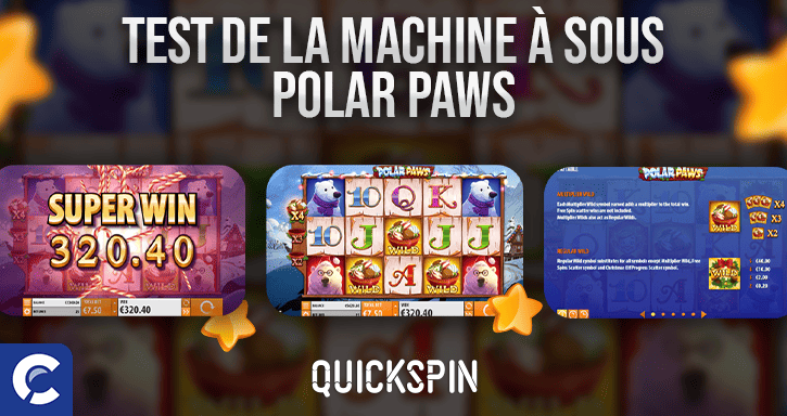 test de la machines a sous polar paws