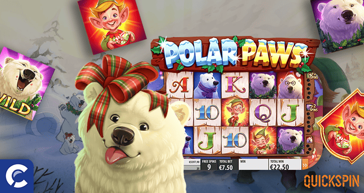 polar paws