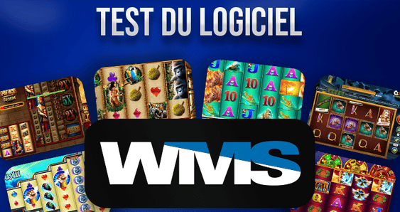 test du développeur wms