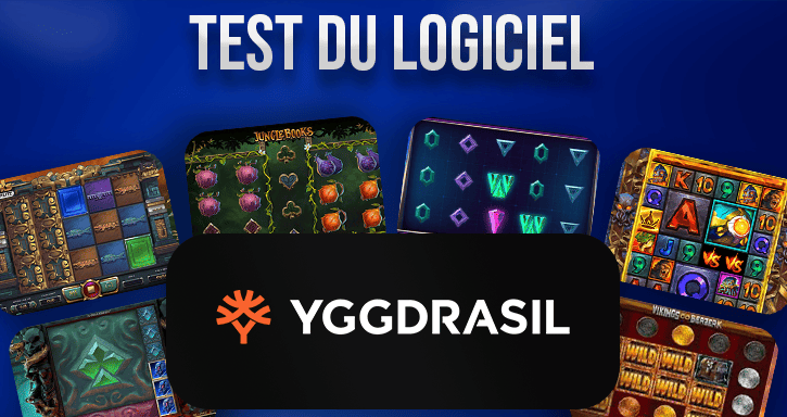 test du développeur yggdrasil