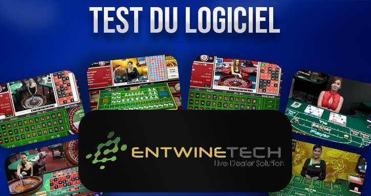 test du développeur entwinetech