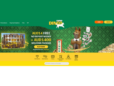 Dingo Website Screenshot