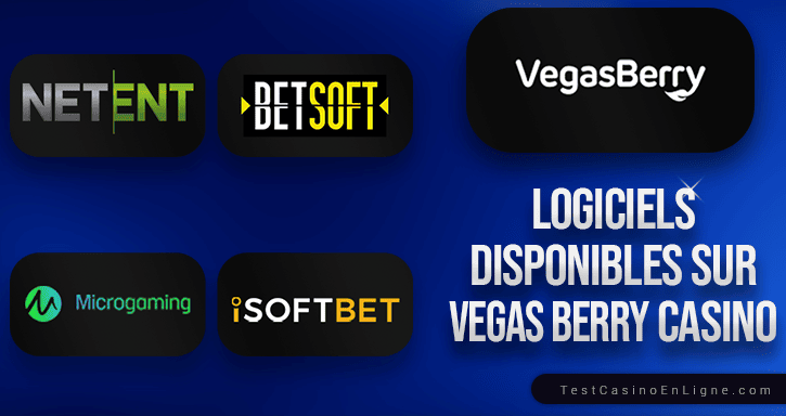 logiciel de casino vegasberry