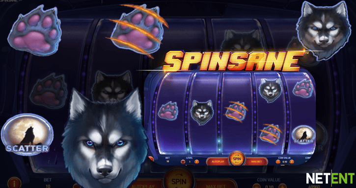 spinsane 2