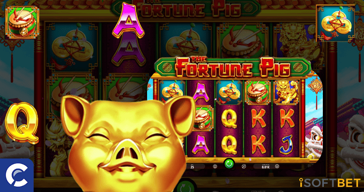 the fortune pig