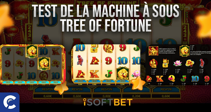 test du jeu tree of fortune