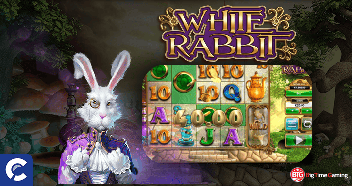 white rabbit