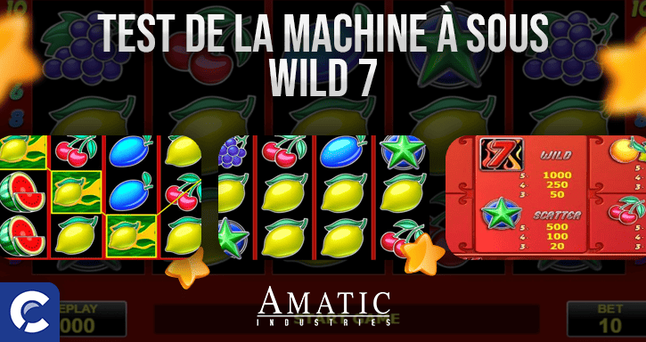 test du jeu wild 7