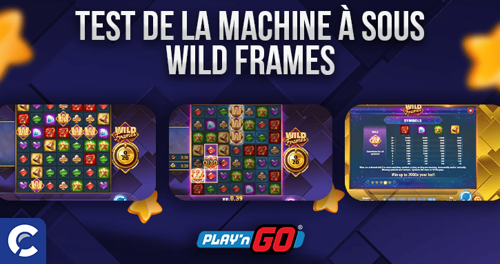 test du jeu wild frames