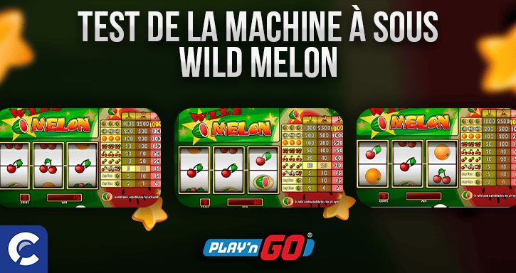 test du jeu wild melon