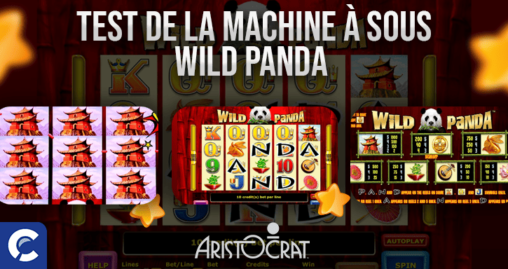 test du jeu wild panda