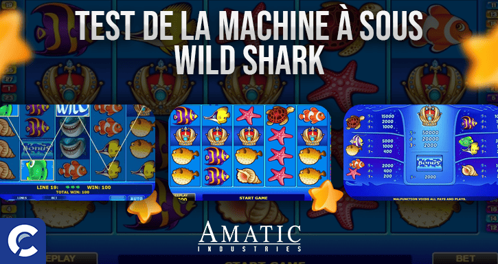 test du jeu wild shark