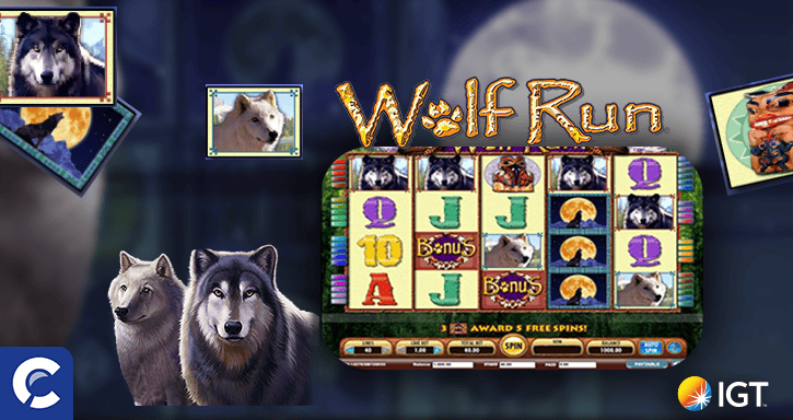 wolf run